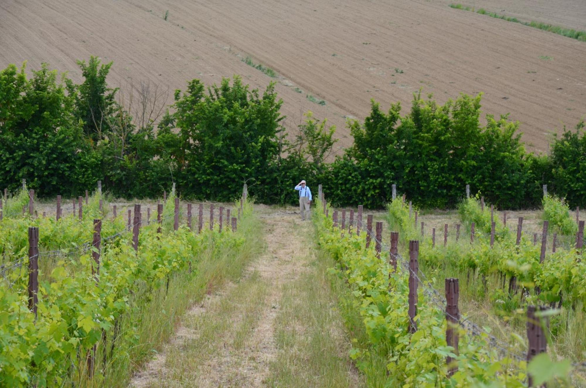 Agriturismo Sant'Alfredo Monteroni dʼArbia Zewnętrze zdjęcie